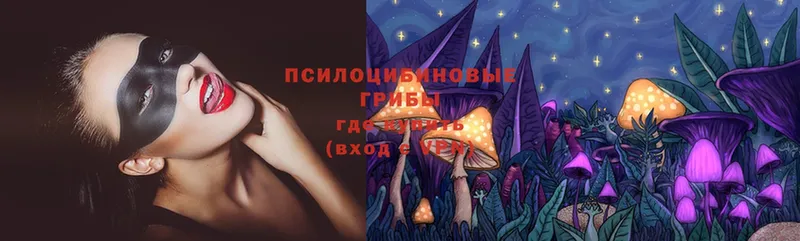 Псилоцибиновые грибы Psilocybe  Горнозаводск 